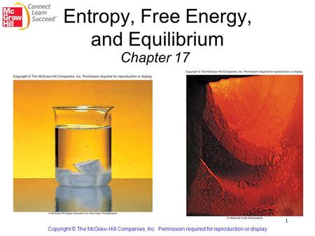 Entropy, Free Energy, and Equilibrium