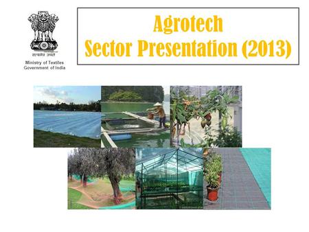 Sector Presentation (2013)