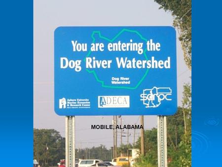 MOBILE, ALABAMA. Dog River Alabama Dog River and its tributaries drain most of Mobile, Alabama. Those tributaries range from relatively pristine streams.