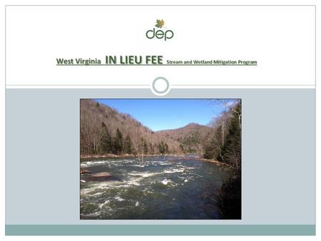 What is an In Lieu Fee Program ? Clean Water Act - Section 404 : “no overall net loss” of wetland acreage and functions. One mechanism for providing Compensatory.