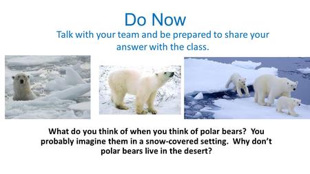 Do Now What do you think of when you think of polar bears? You probably imagine them in a snow-covered setting. Why don’t polar bears live in the desert?