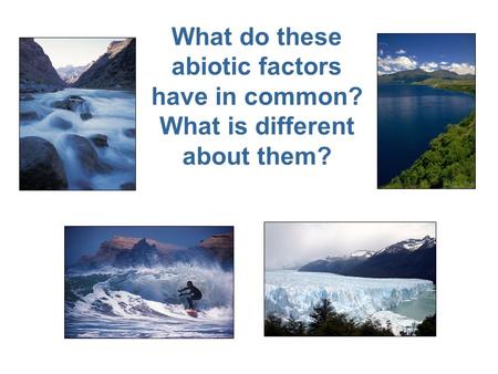 What do these abiotic factors have in common? What is different about them?