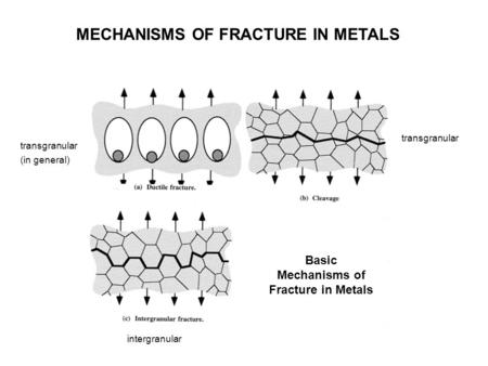 Basic Mechanisms of Fracture in Metals