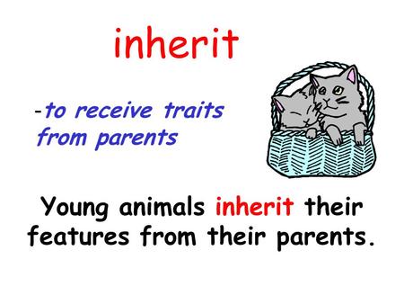 Young animals inherit their features from their parents.