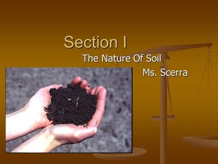 The Nature Of Soil Ms. Scerra