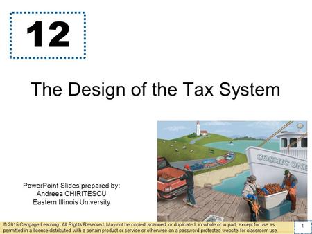 The Design of the Tax System