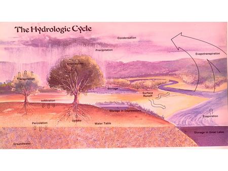 Soil Texture Size or combination of sizes of the soil particles Influences how much water soaks into the soil versus how much runs off the surface and.