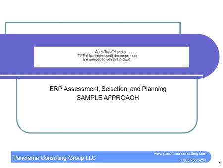 Panorama Consulting Group LLC www.panorama-consulting.com +1.303.256.6253 1 ERP Assessment, Selection, and Planning SAMPLE APPROACH.