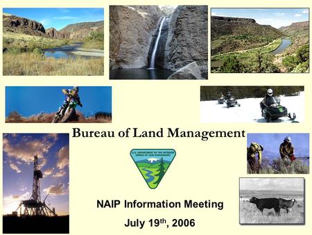 Bureau of Land Management NAIP Information Meeting July 19 th, 2006.