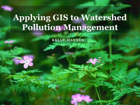 KELLY HAYDEN Applying GIS to Watershed Pollution Management.