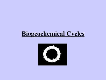 Biogeochemical Cycles