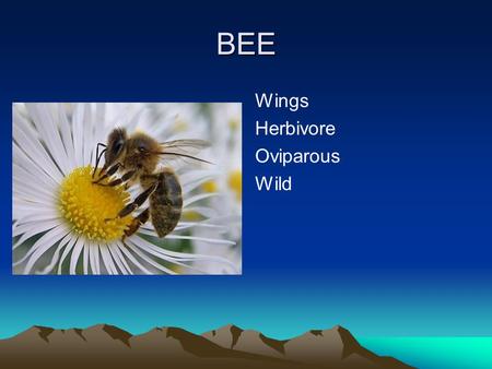 BEE Wings Herbivore Oviparous Wild. EAGLE Wings Carnivore Oviparous Wild.