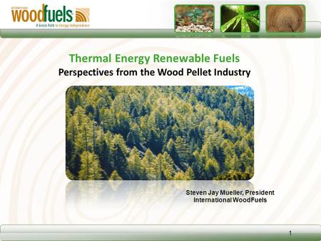 Steven Jay Mueller, President International WoodFuels