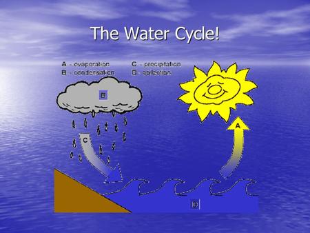 The Water Cycle!.