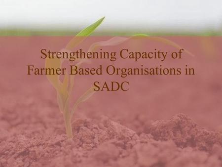 Strengthening Capacity of Farmer Based Organisations in SADC.