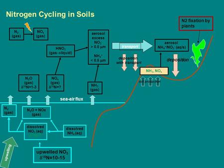 Nitrogen Cycling in Soils dissolved NH 4 (aq) N 2 O + NOx (gas) NO x (gas)  15 N=? HNO 3 (gas  liquid) aerosol excess NO 3 - > 0.5  m NH 4 + < 0.5 