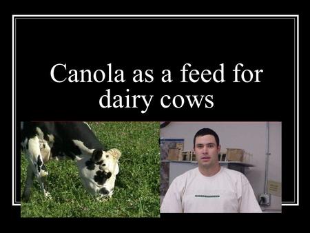 Canola as a feed for dairy cows. Canola defined The official definition of canola is a rape plant of an imporved variety having seeds that are low in.