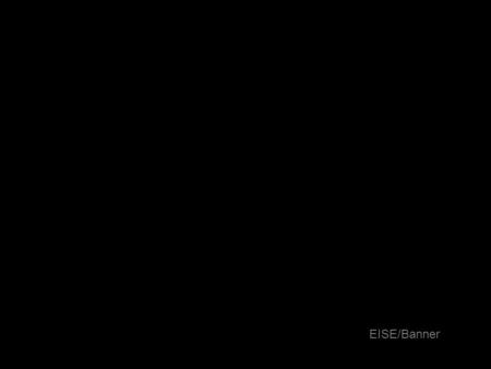 EISE/Banner. EISE/Banner Project Finance Financial Aid Alumni Development Student Faculty/ Advisor Self Service Banner Operational Modules HR Alumni Employee.