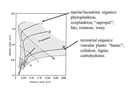 Terrestrial organics: vascular plants: “humic”; cellulose, lignin, carbohydrates marine/lacustrine organics: phytoplankton, zooplankton; “sapropel”; fats,