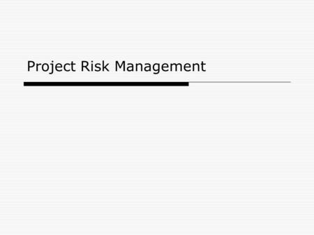 Project Risk Management