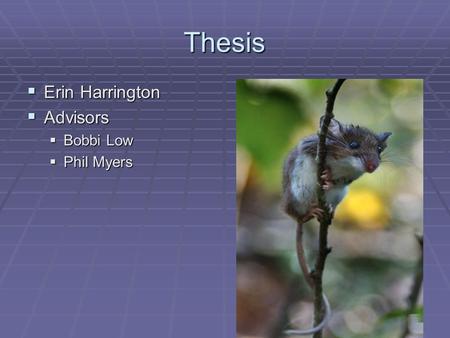 Thesis  Erin Harrington  Advisors  Bobbi Low  Phil Myers.