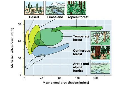 90 60 30 0 40 80120 0 160 Mean annual temperature (°F) Mean annual precipitation (inches)