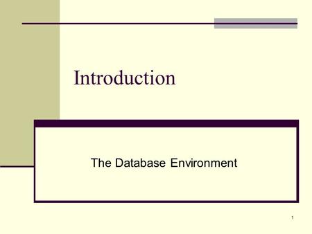 1 Introduction The Database Environment. 2 Web Links Google General Database Search Database News Access Forums Google Database Books O’Reilly Books Oracle.