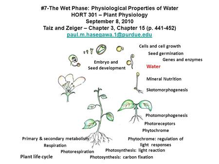 Skotomorphogenesis Seed germination Genes and enzymes Embryo and Seed development Plant life cycle Photomorphogenesis Photoreceptors Phytochrome Cells.