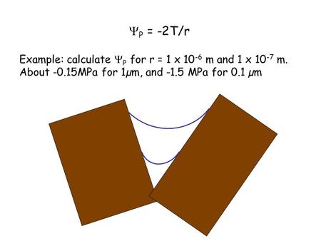  P = -2T/r Example: calculate  P for r = 1 x 10 -6 m and 1 x 10 -7 m. About -0.15MPa for 1µm, and -1.5 MPa for 0.1 µm.