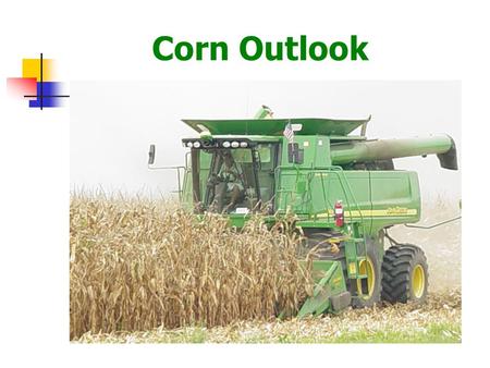 Corn Outlook.