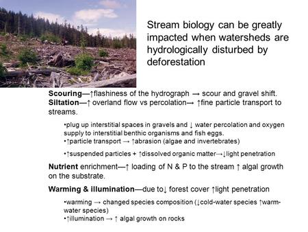 Scouring—↑flashiness of the hydrograph → scour and gravel shift.