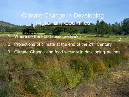 Climate Change in Developing (Agrarian) Countries 1. Where do the Food Insecure live? 2. Projections of climate at the end of the 21 st Century 3. Climate.