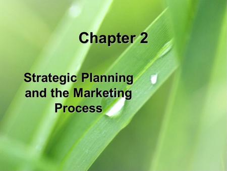 Strategic Planning and the Marketing Process