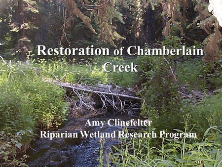 Restoration of Chamberlain Creek Amy Clinefelter Riparian Wetland Research Program Restoration of Chamberlain Creek Amy Clinefelter Riparian Wetland Research.