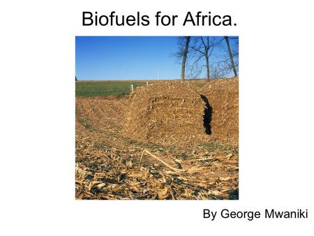 Biofuels for Africa. By George Mwaniki. Introduction Africa is the second largest continent which accounts for 22% of the earths land mass. It is home.