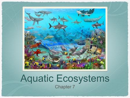 Aquatic Ecosystems Chapter 7.