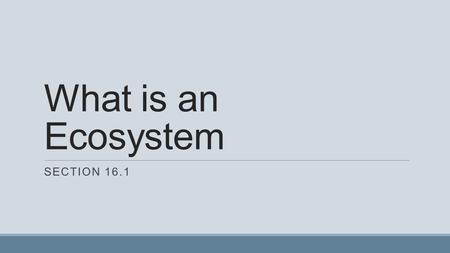 What is an Ecosystem SECTION 16.1. Interactions of Organisms and their environment Populations don’t live by themselves – they are in an area with other.