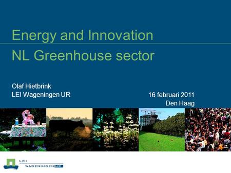 Energy and Innovation NL Greenhouse sector Olaf Hietbrink LEI Wageningen UR 16 februari 2011 Den Haag.