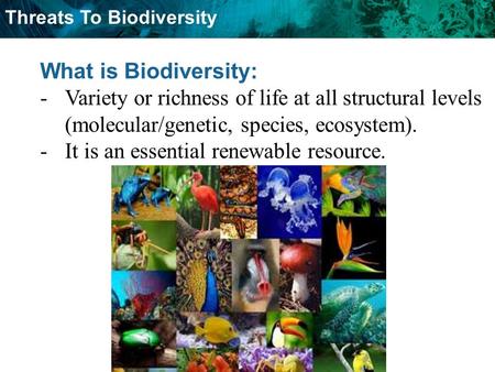 What is Biodiversity: Variety or richness of life at all structural levels (molecular/genetic, species, ecosystem). It is an essential renewable resource.