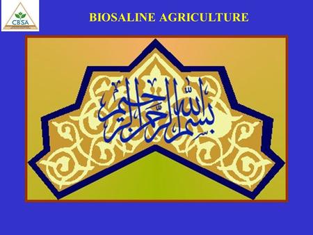 BIOSALINE AGRICULTURE. SOIL How soils are formed???