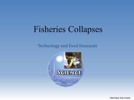 Fisheries Collapses Technology and Food Demands. Escapement Rate and Harvests O The biggest threat to recovery is open ocean harvest. O Nearly 70% of.