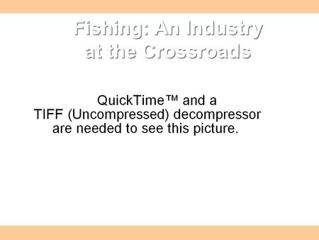 Fishing: An Industry at the Crossroads. Canadian Fisheries Canada’s fishing industry had a bright future up to the 1980’s The fishing industry looked.