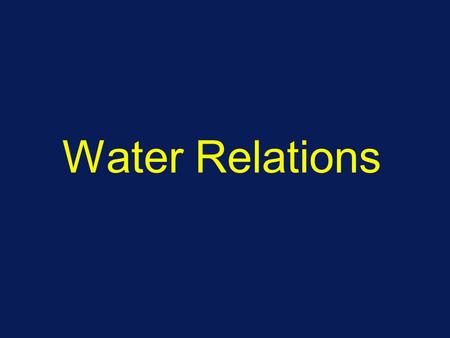 Water Relations. Water management Citrus trees water-conserving plants Root hydraulic conductivity (Lp) is low Lp is positively correlated with root temperature.