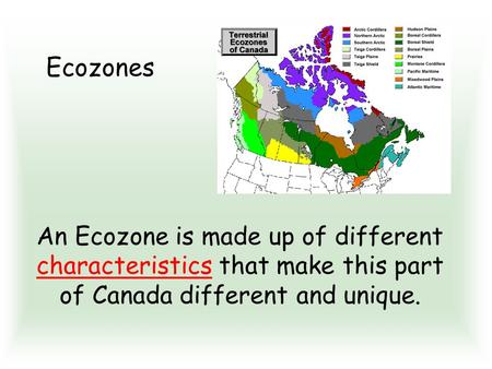 Ecozones An Ecozone is made up of different characteristics that make this part of Canada different and unique.