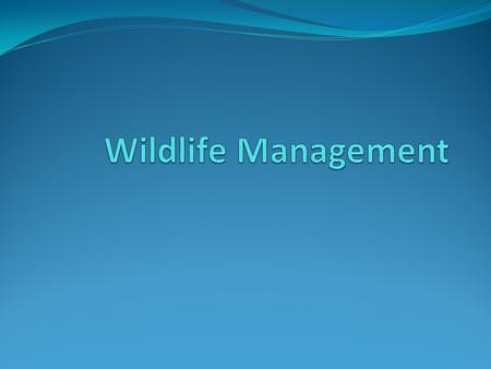 TERMS: Wildlife: Animals that are adapted to live in a natural environment without the aid of humans. Habitat: The area where a plant or animal normally.