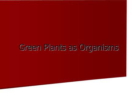 Green Plants as Organisms