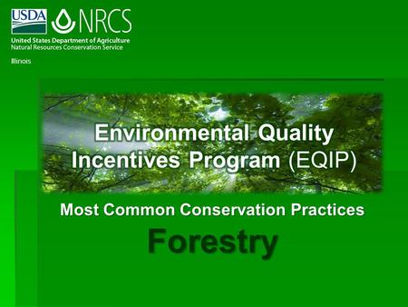 Most Common Conservation Practices Forestry Illinois.