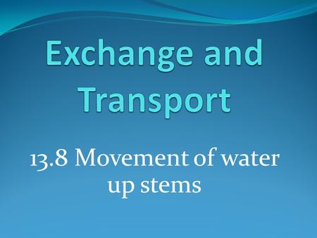 13.8 Movement of water up stems. Learning outcomes Students should be able to understand the following: What transpiration is The process by which water.