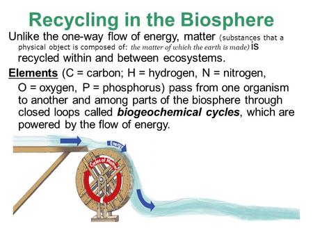 Recycling in the Biosphere