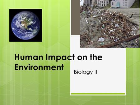 Human Impact on the Environment